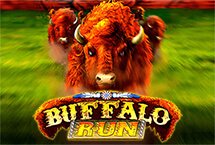 Buffalo Run